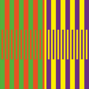 Layered geometric illusion forming a maze-like structure.