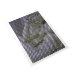 ANUKRATI GRAPHICS Home Decor Wall Art - Sunset Stripes Pattern