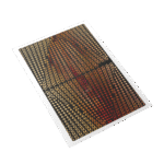 ANUKRATI GRAPHICS Home Decor Wall Art - Serene Seduction