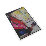 ANUKRATI GRAPHICS Home Decor Wall Art - The Silent Watcher