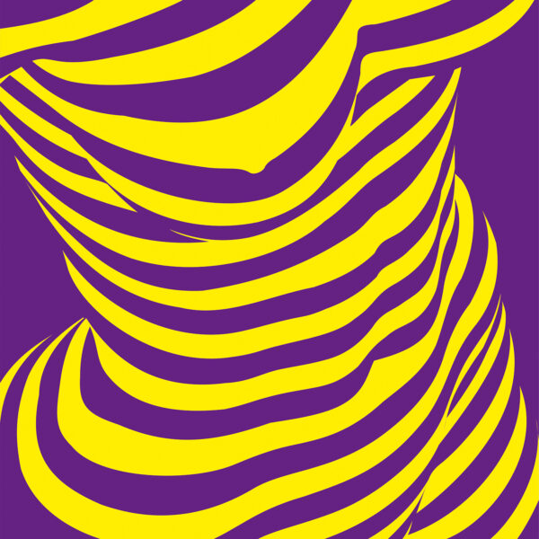 Geometric grid illusion with collapsing linear patterns.