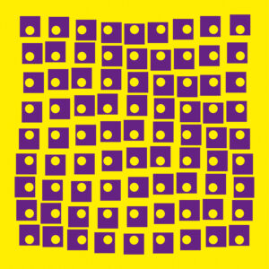 Black and white striped optical illusion resembling zebra pattern.