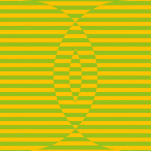 Illusion art with concentric swirling lines forming a hypnotic pattern.