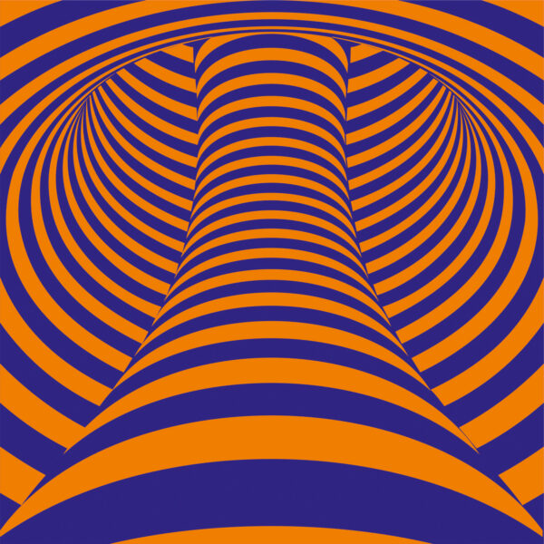Black and white radial illusion art forming echo wave patterns.